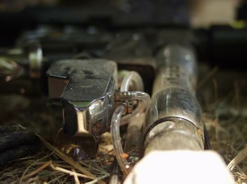 Click to See Next Image